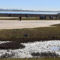 Una influencia positiva: educación en Diseño + proyectos comunitarios