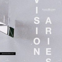 The Visionaries