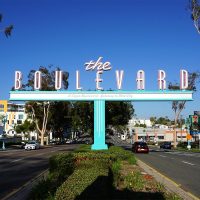 Iconic Signage and a City's Identity