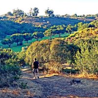 Public Spaces by Design: Balboa Park East