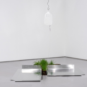 Behind the Scenes Tour