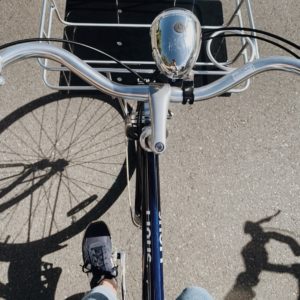 Modern Architecture Bike Tour