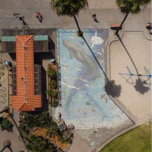 Meet Us at THE MAP: Inspiring Ocean Conservation Through Public Art