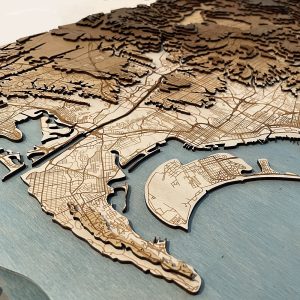 Layers of San Diego: Landscape Modeling with Lasers and CNCs
