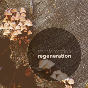 Transforming Our Future With Regenerative Design